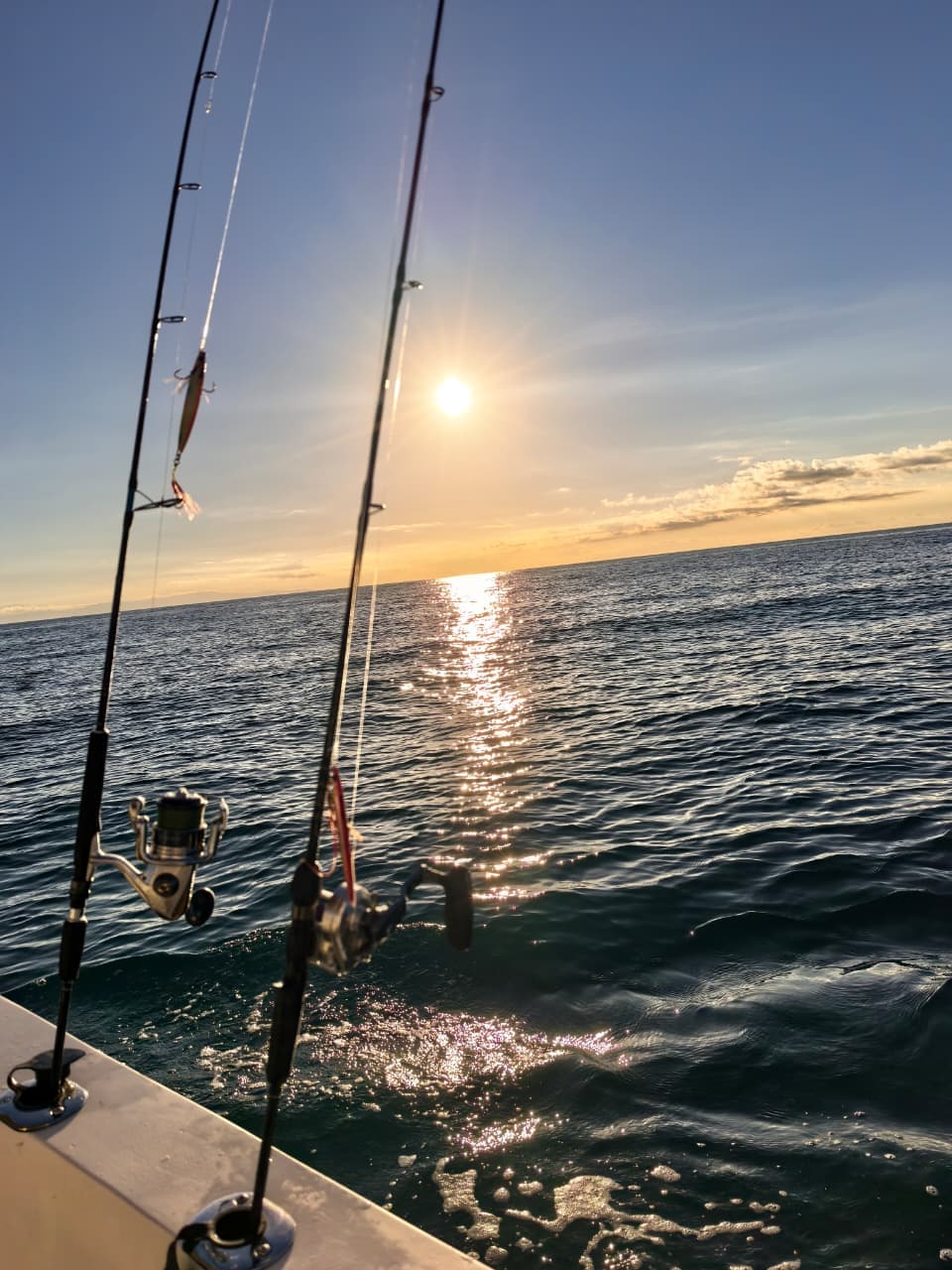 Sport Fishing (4 Hours)